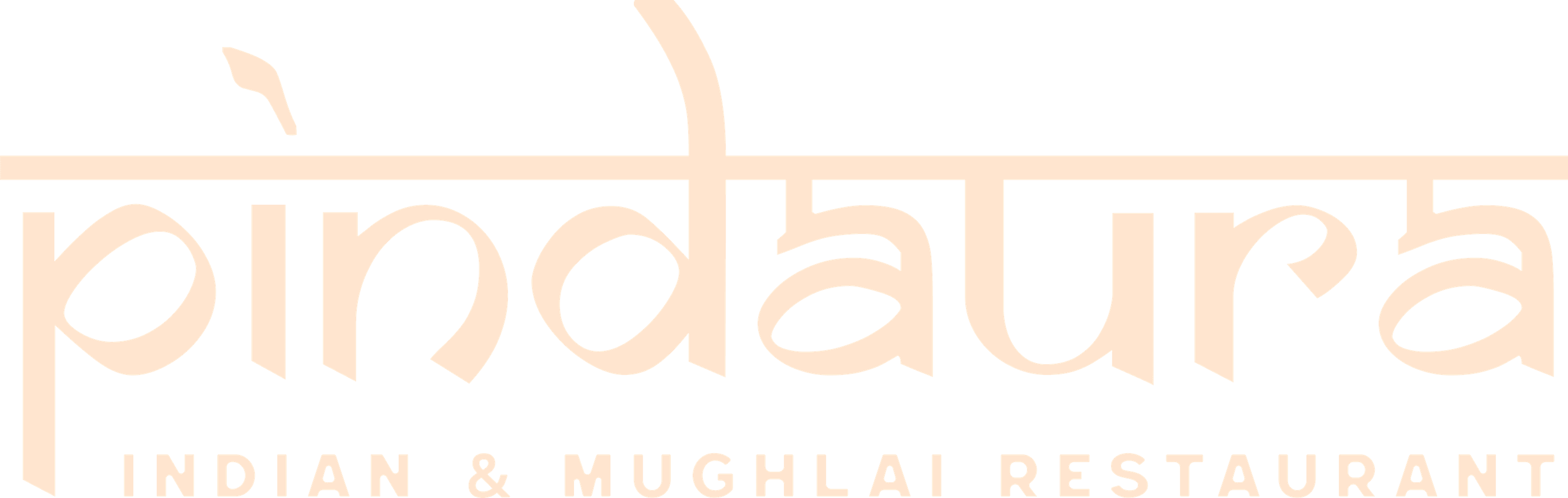 The Pindaura logo